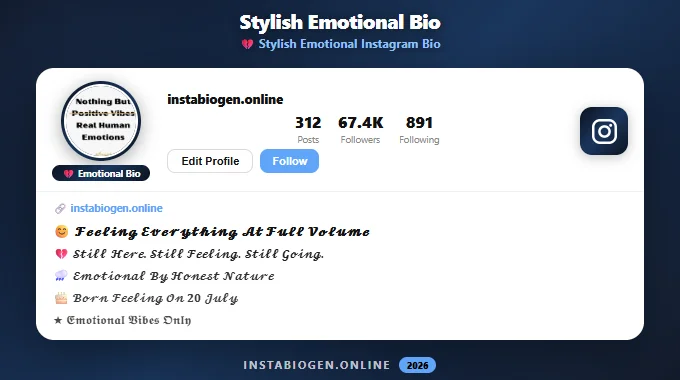 Stylish Emotional Instagram Bio